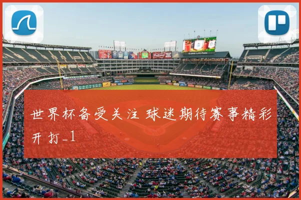 世界杯备受关注 球迷期待赛事精彩开打_1