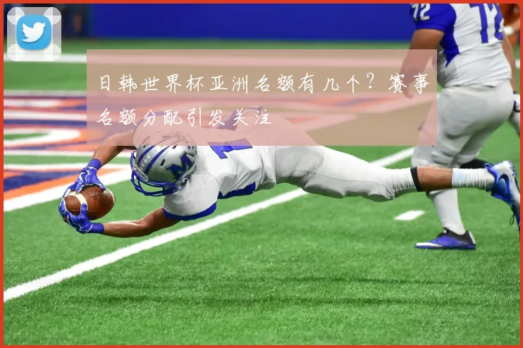 日韩世界杯亚洲名额有几个？赛事名额分配引发关注
