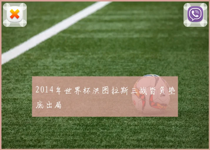 2014年世界杯洪图拉斯三战皆负垫底出局