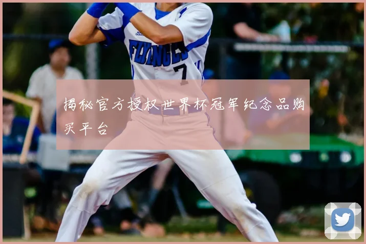 揭秘官方授权世界杯冠军纪念品购买平台